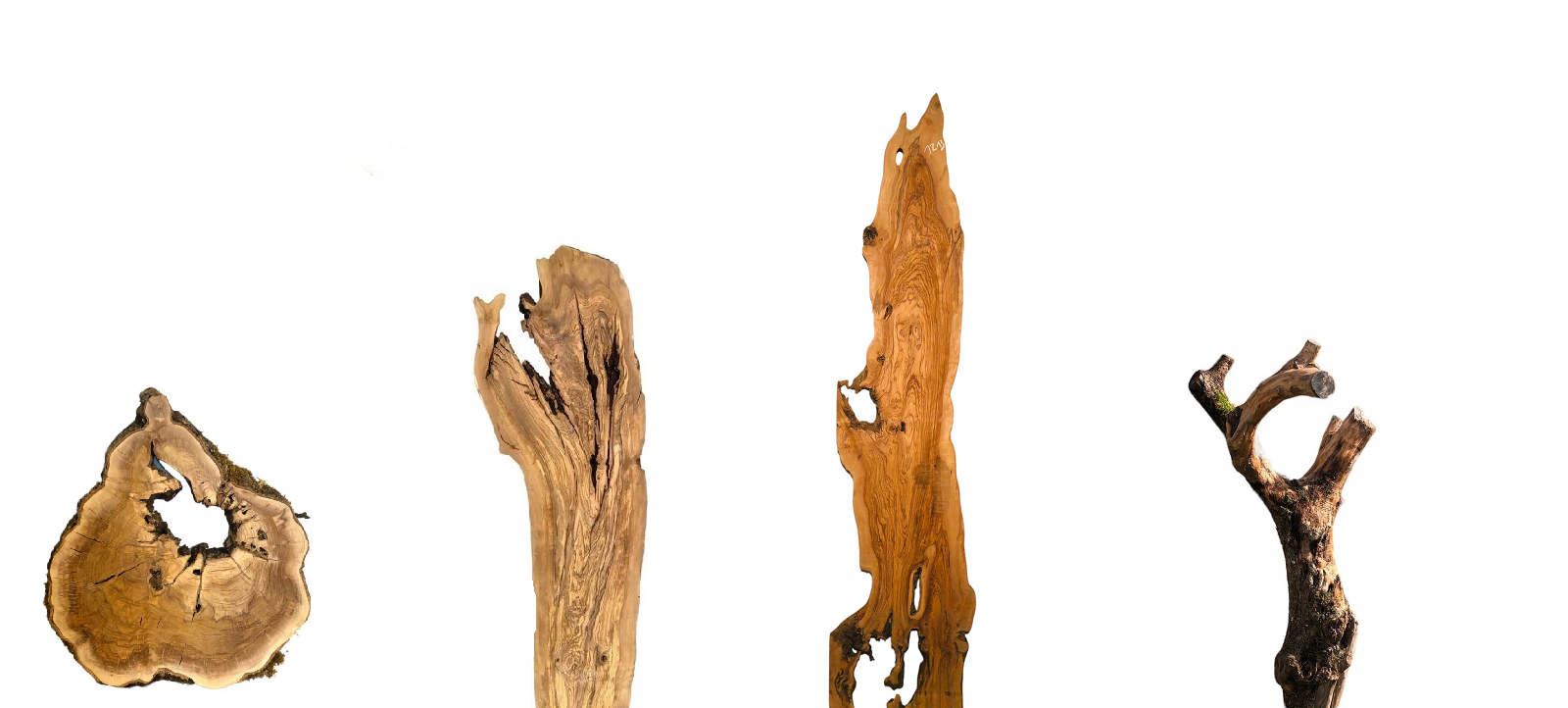 Große Olivenholz Bohlen und Baumscheiben mit natürlicher Maserung und Loch für Tischbau und Epoxidharz Projekte